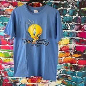 Vintage 90s Six Flags St. Louis x Looney Tunes Tweety T-Shirt Medium